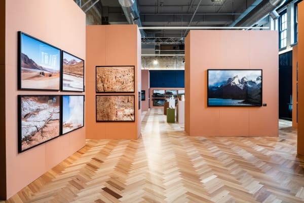 Installation photography by Tom Blachford.