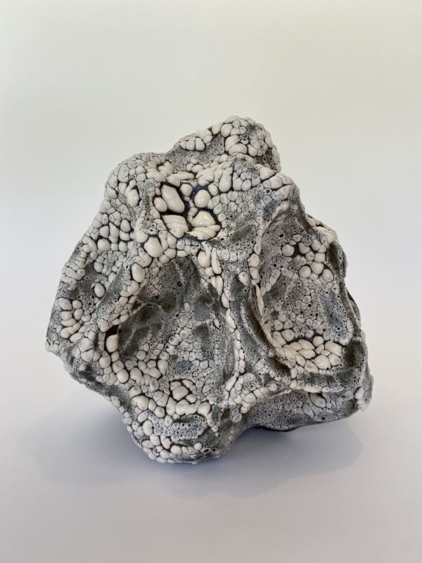 Amelia Lynch, Trichaulax Philipsii, glazed ceramic, 26 x 23 x 22 cm