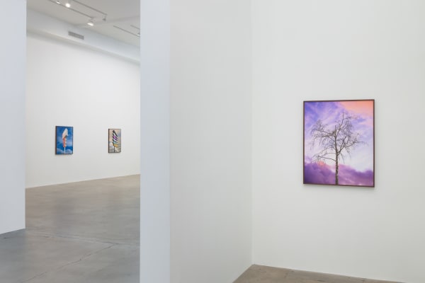 Amir Zaki Nothing To Say Diane Rosenstein Gallery Installation View 14