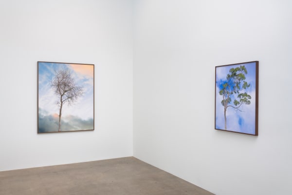 Amir Zaki Nothing To Say Diane Rosenstein Gallery Installation View 3
