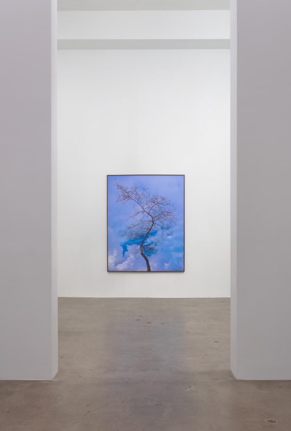 Amir Zaki Nothing To Say Diane Rosenstein Gallery Installation View 4