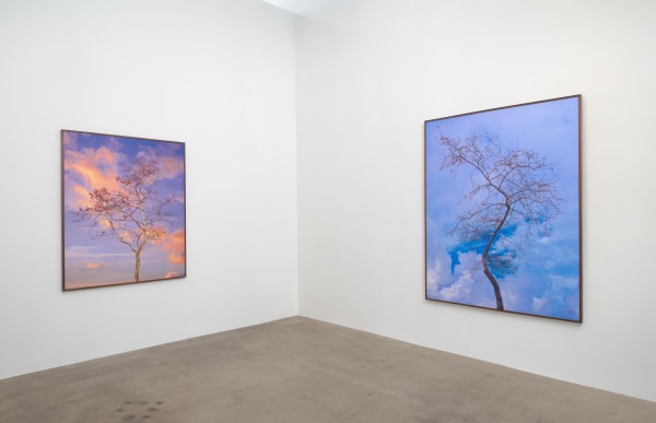 Amir Zaki Nothing To Say Diane Rosenstein Gallery Installation View 5