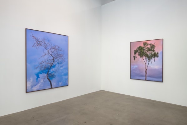 Amir Zaki Nothing To Say Diane Rosenstein Gallery Installation View 6