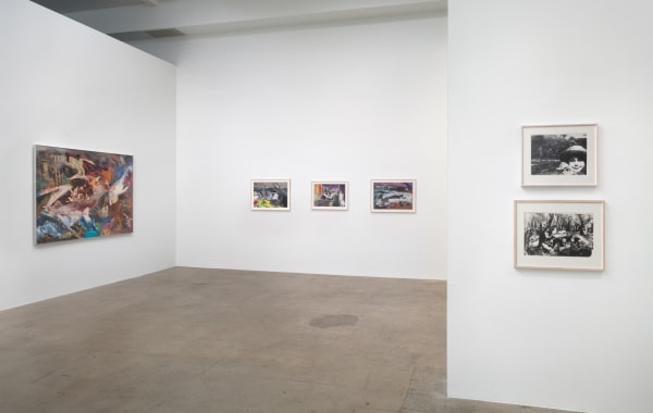 Sarah Schumann Shock And Beauty Diane Rosenstein Gallery Jan 2025 Photo By Robert Wedemeyer Installation View 3