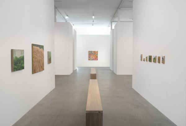 Five Painters 2025 Diane Rosenstein Gallery Photo By Robert Wedemeyer Installation View 1