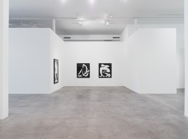 Installation View 10