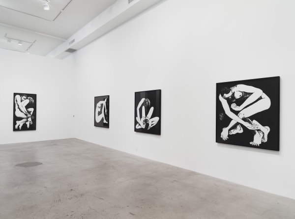 Installation View 13