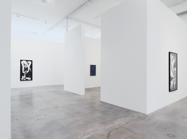 Installation View 15
