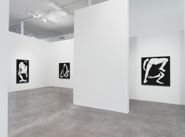 Installation View 17