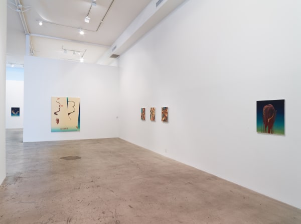 Damien Flood Shape Of Things Install View 07