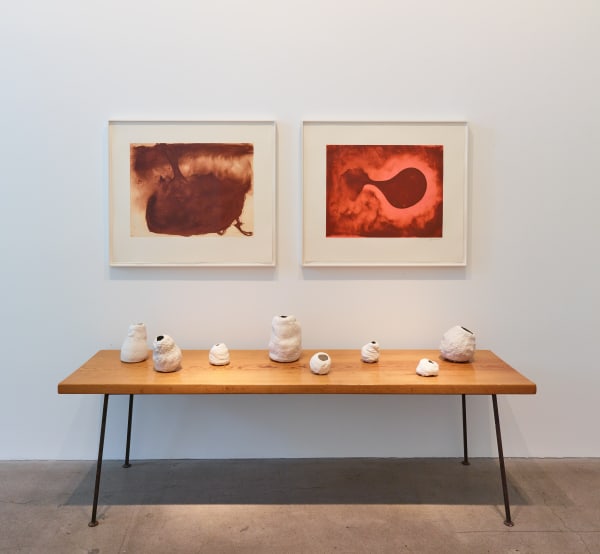 20170425 Dianerosenstein22927