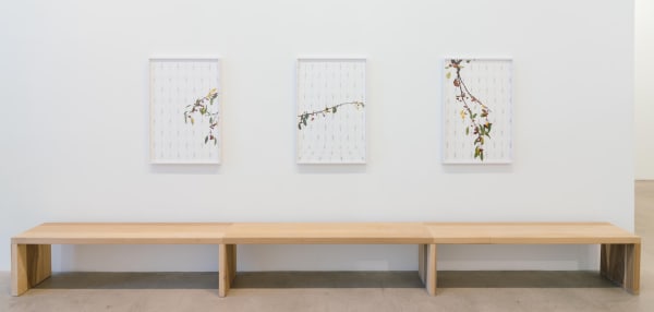 Drfa Hummel Installation20 Web