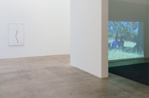 Drfa Hummel Installation27 Web