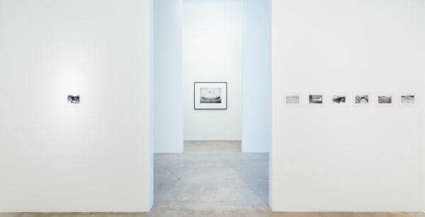 Eleanor Antin Web Previews 5