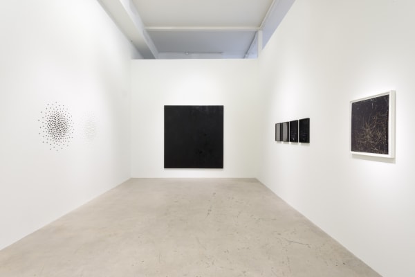 Photo Joshua White 8576