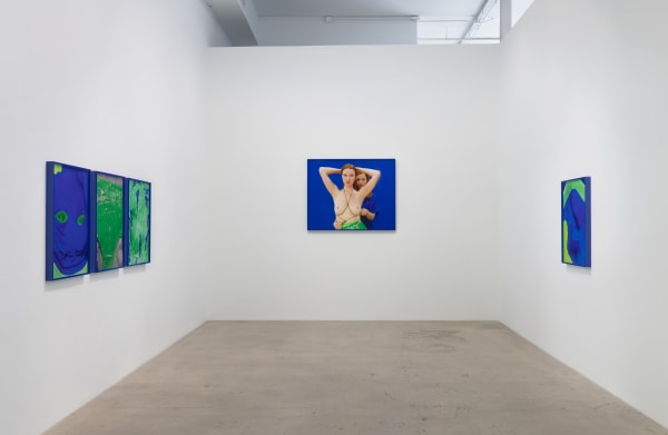 Ilona Szwarc Virgin Soap Diane Rosenstein Gallery Installation View 1 Web