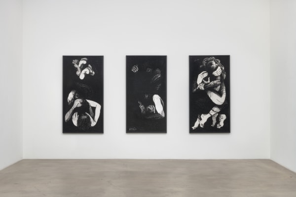 Marty Schnapf Phosphors Installation View 7