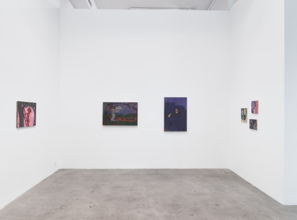 Michael Ajerman: Possessions Project Room