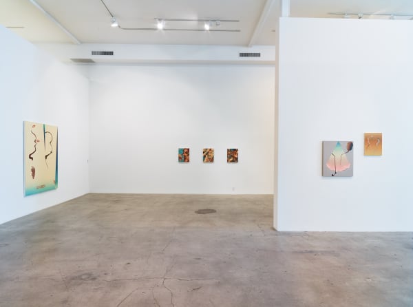 Damien Flood: Shape of Things