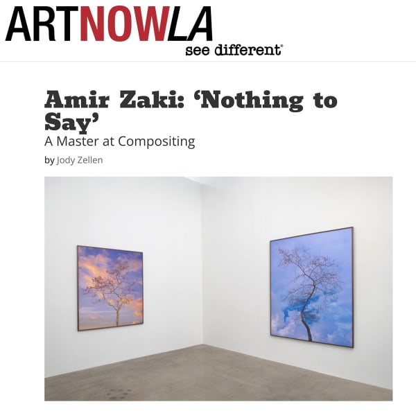 Amir Zaki in ARTNOWLA