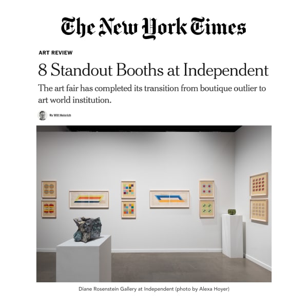 Terran Last Gun in The New York Times