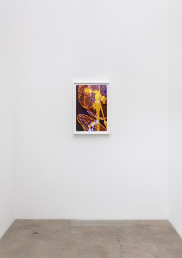 The Creator Has A Master Plan Install View 17 Diane Rosenstein Gallery 1