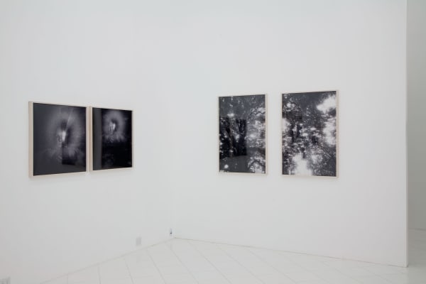 Dash Snow God Spoiled A Perfect Asshole When He Put Teeth In Yer Mouth Installation View September 22 – November...