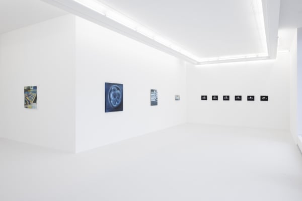 Tan Mu DAWN Installation View September 9 – October 7, 2022 Peres Projects, Berlin Photographed by: Timo Ohler