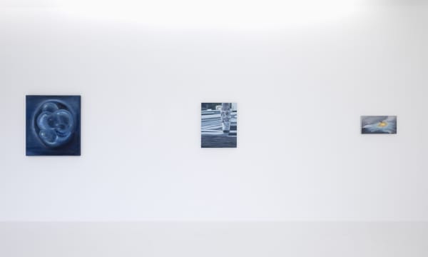 Tan Mu DAWN Installation View September 9 – October 7, 2022 Peres Projects, Berlin Photographed by: Timo Ohler