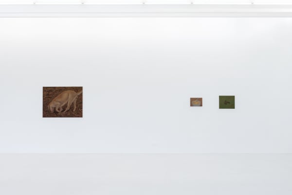 Yaerim Ryu You and Your Sweating Palms Installation View November 10, 2023 – January 6, 2024 Peres Projects, Berlin Photographed...