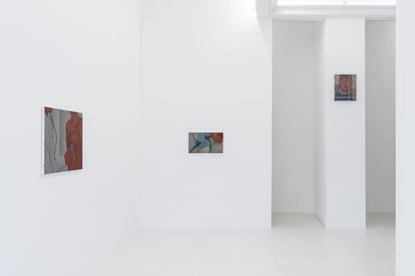 Yaerim Ryu You and Your Sweating Palms Installation View November 10, 2023 – January 6, 2024 Peres Projects, Berlin Photographed...