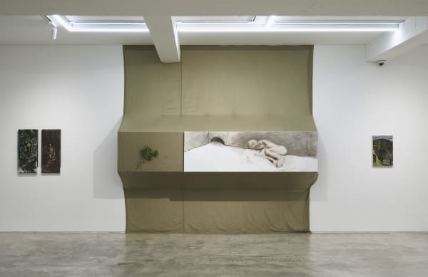 Anton MUNAR Malas Hierbas Installation View September 4 – October 27, 2024 Peres Projects, Seoul
