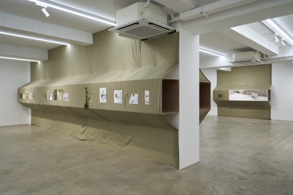 Anton MUNAR Malas Hierbas Installation View September 4 – October 27, 2024 Peres Projects, Seoul