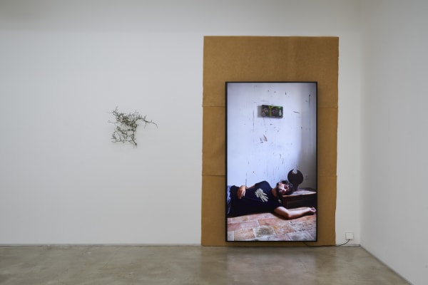 Anton MUNAR Malas Hierbas Installation View September 4 – October 27, 2024 Peres Projects, Seoul