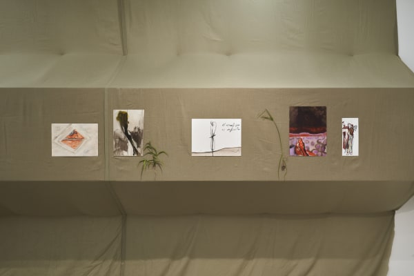 Anton MUNAR Malas Hierbas Installation View September 4 – October 27, 2024 Peres Projects, Seoul