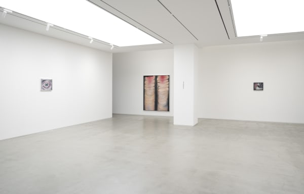 Rebecca ACKROYD The Party Is A Woman Installation View September 4 – October 27, 2024 Peres Projects, Seoul