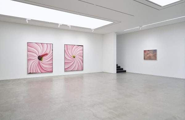 Rebecca ACKROYD The Party Is A Woman Installation View September 4 – October 27, 2024 Peres Projects, Seoul
