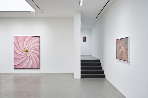Rebecca ACKROYD The Party Is A Woman Installation View September 4 – October 27, 2024 Peres Projects, Seoul