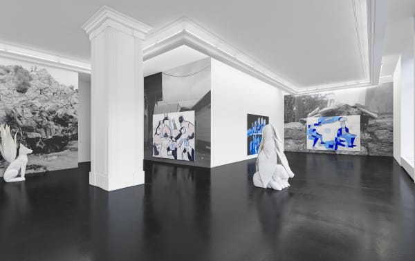 Installation view of Melike Kara’s “Köpek” at Peres Projects, Berlin (2017)