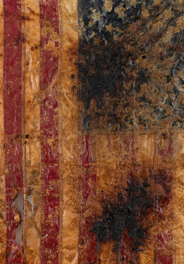 Kiyan Williams "Fried and Suspended Flag 8" (2023) (detail)
