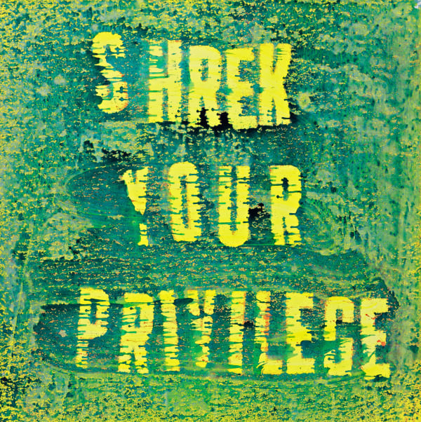 Mark Flood "Shrek Your Privilege" (2015)