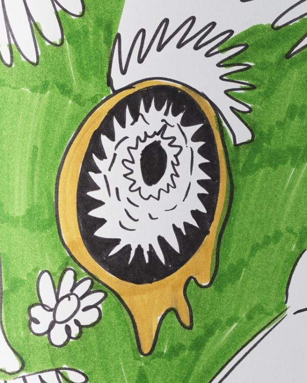 Artist Book 16 20 C32593 High Detail 2