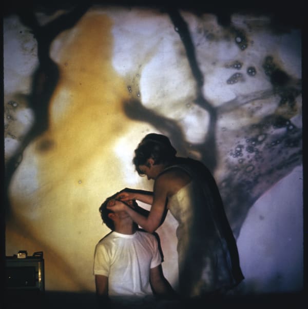 Son et Lumière for Bodily Fluids and Functions, January 1967. Projections included bodily fluids extracted from Boyle and Hills during the performance.