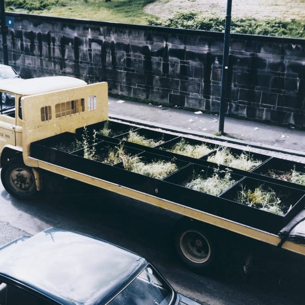 Garden Truck High