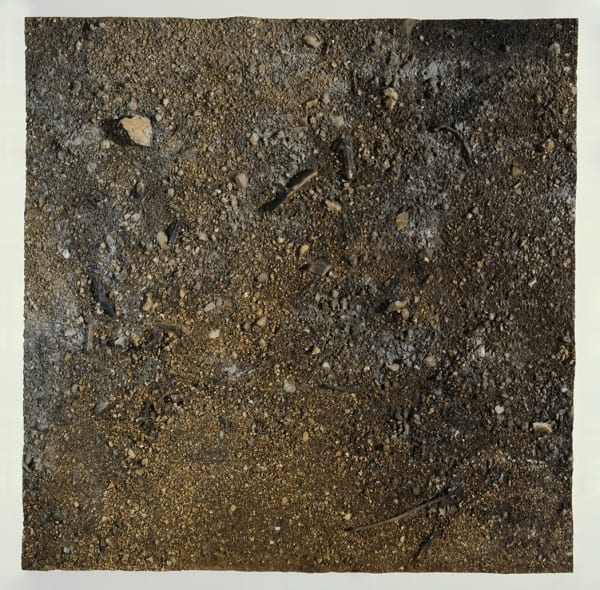 Study of the Lazio Site, 2013, World Series