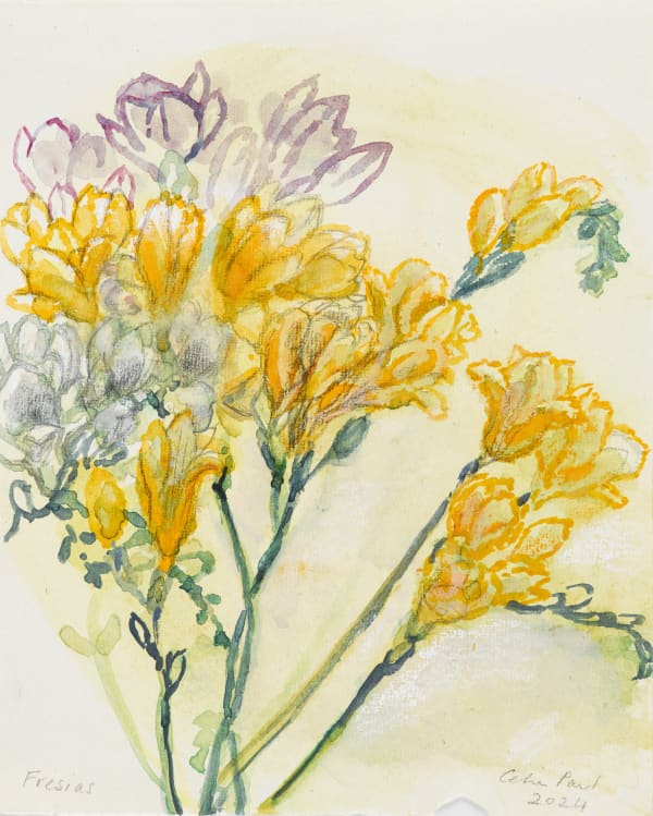 Cp532 Fresias 2024 Edge