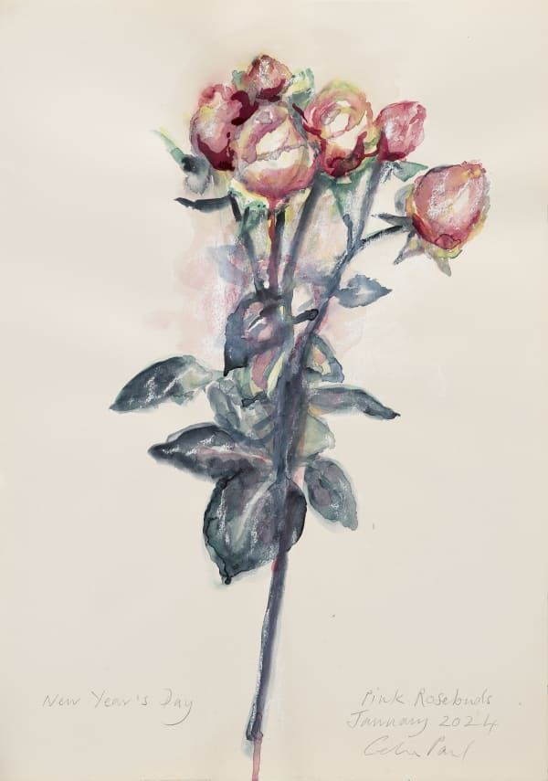 Cp531 Pink Rosebuds New Year S Day 2024 Edge