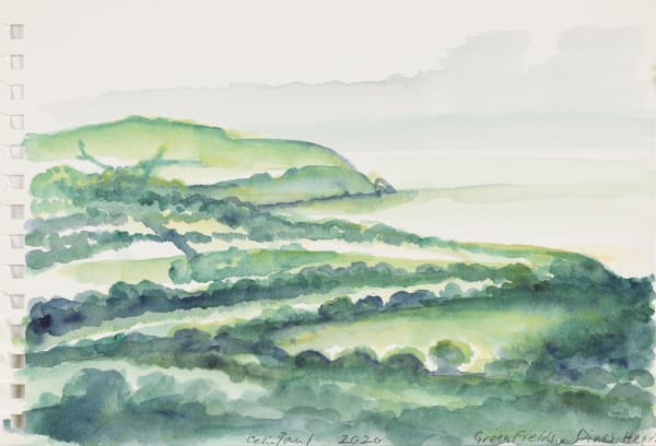 Cp539 Green Fields Dinas Head 2020 Edge