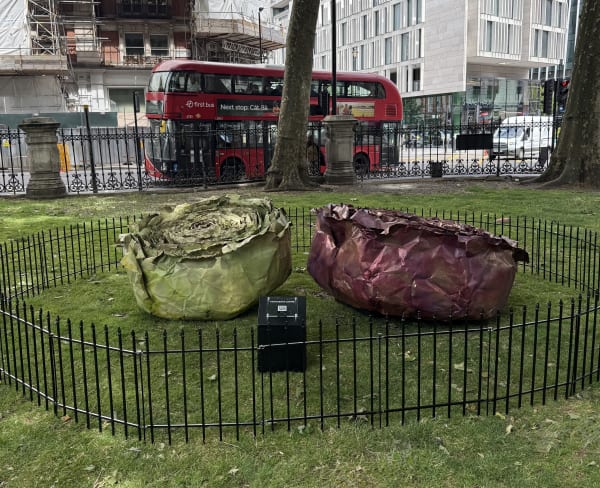 Francesca Leone: Roses | London 