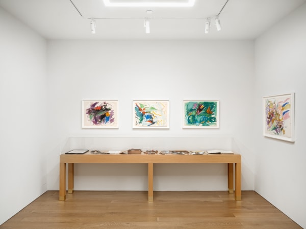 Mary Abbott To Draw Imagination Installation Image 20